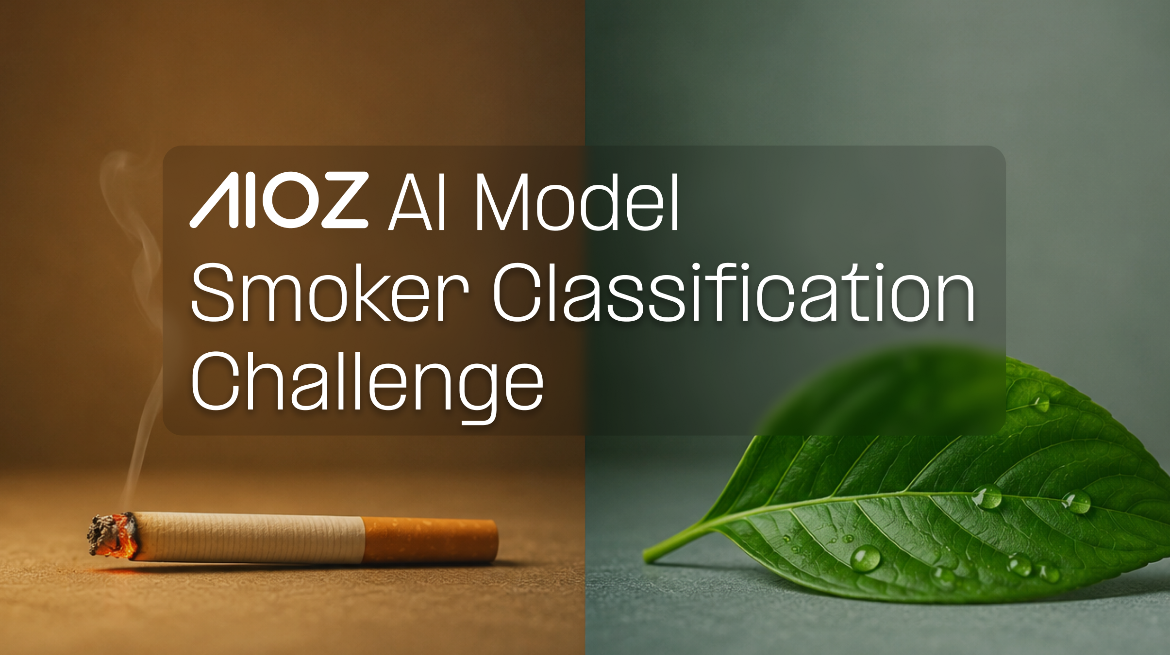 smoker_classification_baseline